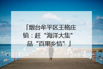 烟台牟平区王格庄镇：赶“海洋大集” 品“百果乡情”