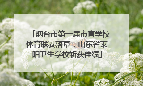 烟台市第一届市直学校体育联赛落幕，山东省莱阳卫生学校斩获佳绩