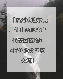 热烈欢迎东莞、佛山两地客户代表团莅临itc保伦股份考察交流
