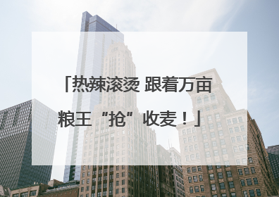 热辣滚烫 跟着万亩粮王“抢”收麦！