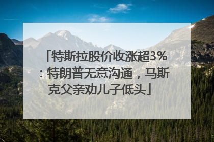 特斯拉股价收涨超3%：特朗普无意沟通，马斯克父亲劝儿子低头