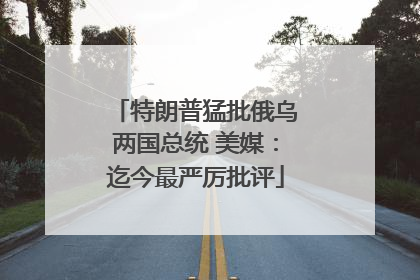 特朗普猛批俄乌两国总统 美媒：迄今最严厉批评
