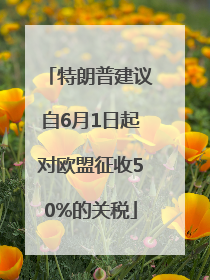 特朗普建议自6月1日起对欧盟征收50%的关税