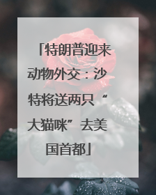 特朗普迎来动物外交：沙特将送两只“大猫咪”去美国首都