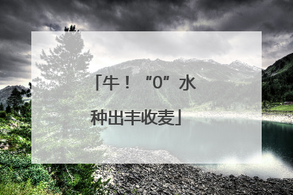 牛！“0”水种出丰收麦