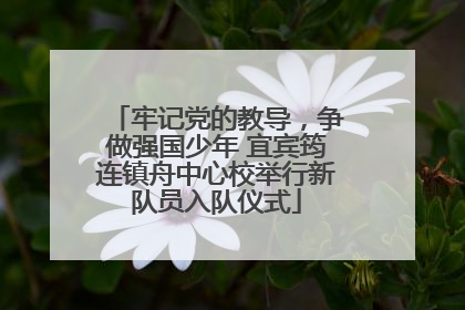 牢记党的教导，争做强国少年 宜宾筠连镇舟中心校举行新队员入队仪式