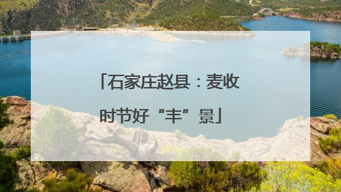 石家庄赵县：麦收时节好“丰”景