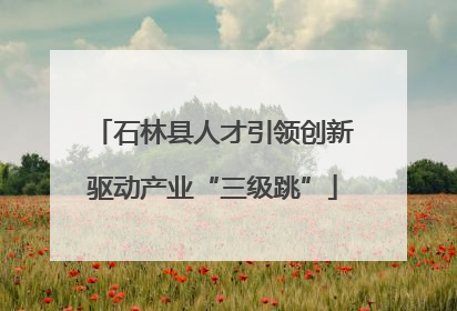 石林县人才引领创新驱动产业“三级跳”