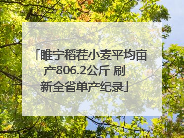 睢宁稻茬小麦平均亩产806.2公斤 刷新全省单产纪录