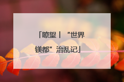 瞭望丨“世界镁都”治乱记