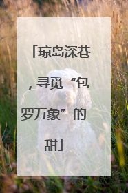 琼岛深巷，寻觅“包罗万象”的甜
