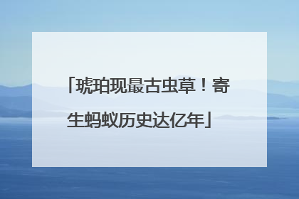 琥珀现最古虫草！寄生蚂蚁历史达亿年