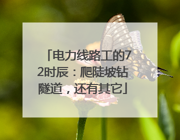 电力线路工的72时辰：爬陡坡钻隧道，还有其它