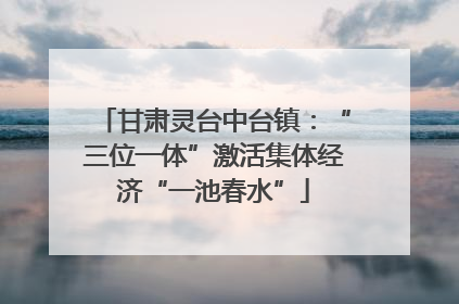 甘肃灵台中台镇：“三位一体”激活集体经济“一池春水”