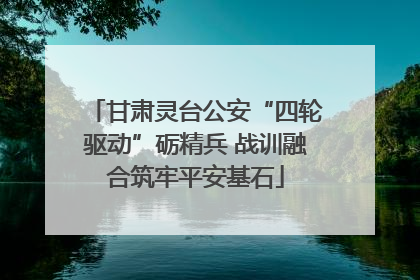 甘肃灵台公安“四轮驱动”砺精兵 战训融合筑牢平安基石