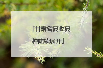 甘肃省夏收夏种陆续展开