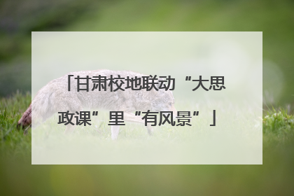 甘肃校地联动“大思政课”里“有风景”