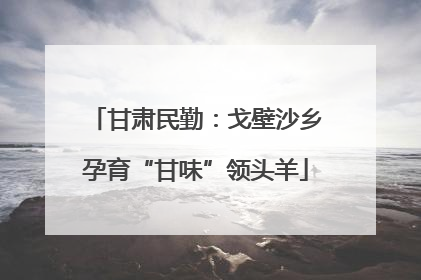 甘肃民勤：戈壁沙乡孕育“甘味”领头羊