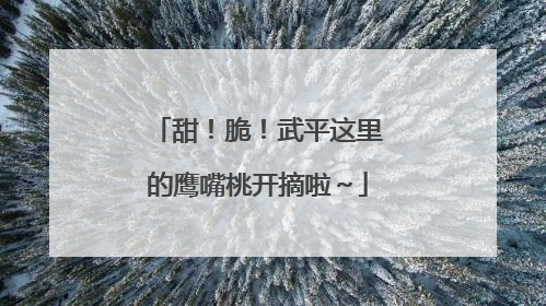 甜！脆！武平这里的鹰嘴桃开摘啦～