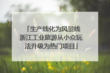 生产线化为风景线 浙江工业旅游从小众玩法升级为热门项目