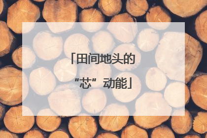 田间地头的“芯”动能