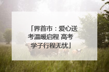 界首市：爱心送考温暖启程 高考学子行程无忧