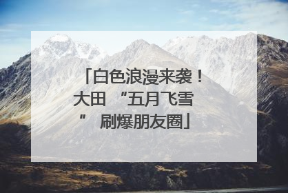 白色浪漫来袭！大田 “五月飞雪” 刷爆朋友圈