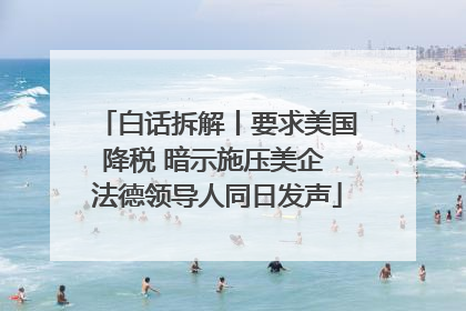 白话拆解丨要求美国降税 暗示施压美企 法德领导人同日发声
