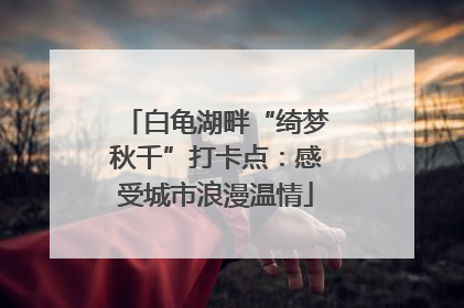白龟湖畔“绮梦秋千”打卡点：感受城市浪漫温情