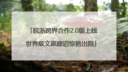 皖浙跨界合作2.0版上线 世界级文旅廊道惊艳出圈