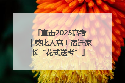 直击2025高考｜葵比人高！宿迁家长“花式送考”