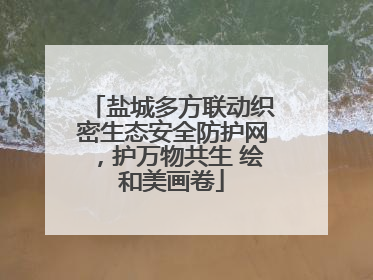 盐城多方联动织密生态安全防护网，护万物共生 绘和美画卷