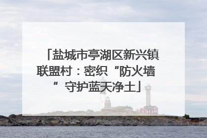 盐城市亭湖区新兴镇联盟村：密织“防火墙”守护蓝天净土