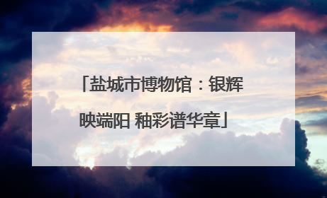 盐城市博物馆：银辉映端阳 釉彩谱华章
