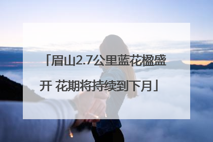 眉山2.7公里蓝花楹盛开 花期将持续到下月