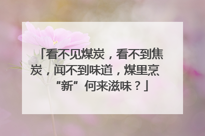 看不见煤炭，看不到焦炭，闻不到味道，煤里烹“新”何来滋味？