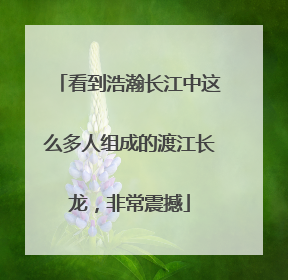 看到浩瀚长江中这么多人组成的渡江长龙，非常震撼