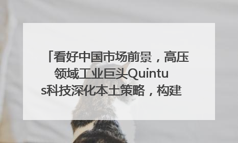 看好中国市场前景，高压领域工业巨头Quintus科技深化本土策略，构建全方位服务亚太区总部