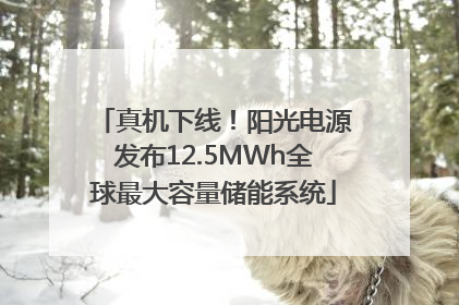 真机下线！阳光电源发布12.5MWh全球最大容量储能系统