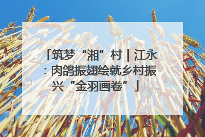 筑梦“湘”村｜江永：肉鸽振翅绘就乡村振兴“金羽画卷”