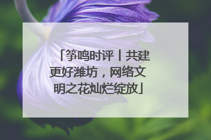 筝鸣时评丨共建更好潍坊，网络文明之花灿烂绽放