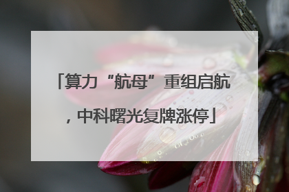 算力“航母”重组启航，中科曙光复牌涨停