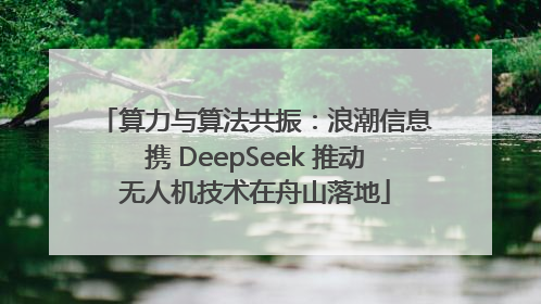 算力与算法共振：浪潮信息携 DeepSeek 推动无人机技术在舟山落地