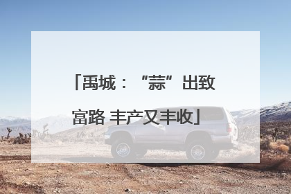 禹城：“蒜”出致富路 丰产又丰收