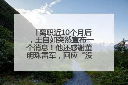 离职近10个月后，王自如突然宣布一个消息！他还感谢董明珠雷军，回应“没看过格力工资条”：真的不那么重要！