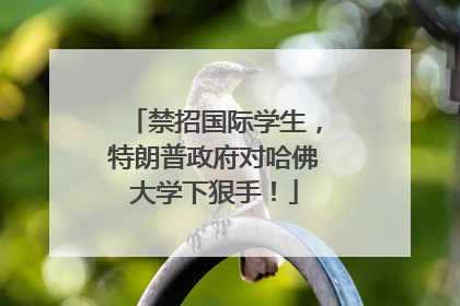 禁招国际学生，特朗普政府对哈佛大学下狠手！