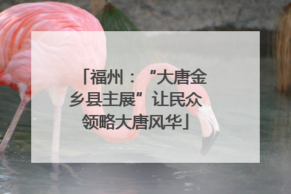 福州：“大唐金乡县主展”让民众领略大唐风华