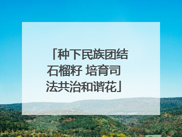 种下民族团结石榴籽 培育司法共治和谐花