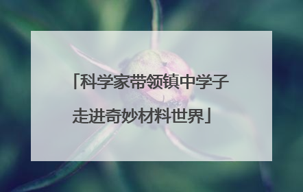 科学家带领镇中学子走进奇妙材料世界