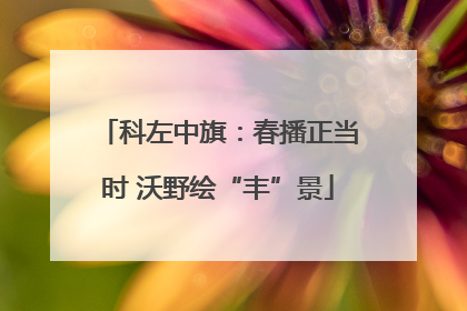 科左中旗：春播正当时 沃野绘“丰”景